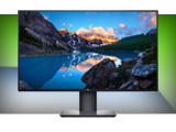Dell 22