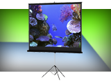 Da-Lite 50x50 Tripod Projector Screen Rental
